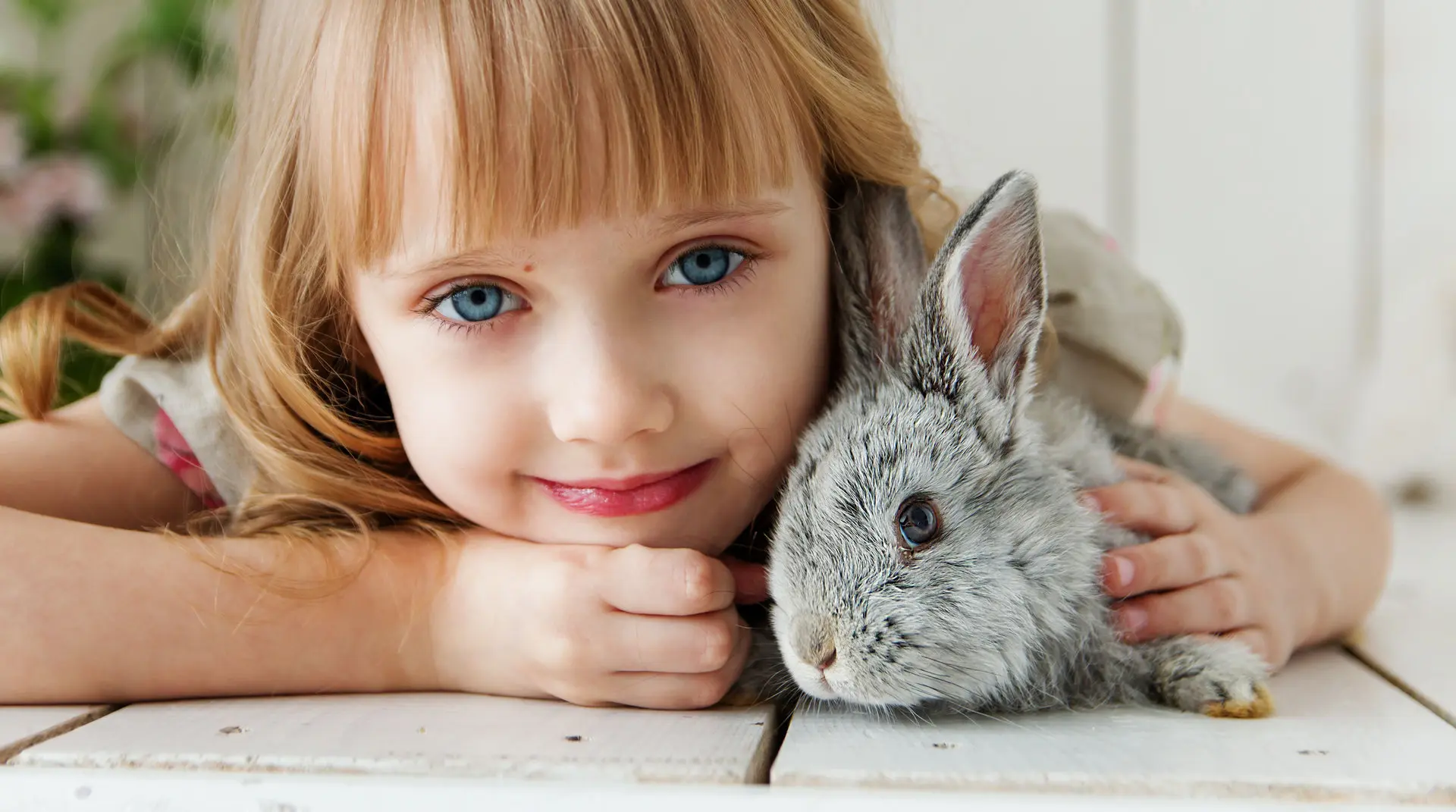 Día Internacional del Conejo 2024 28 de septiembre